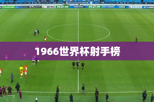 1966世界杯射手榜
