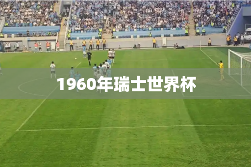 1960年瑞士世界杯