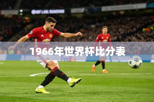 1966年世界杯比分表