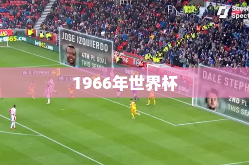1966年世界杯 1966年世界杯