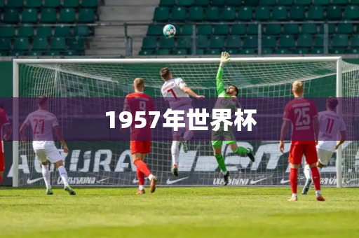 1957年世界杯