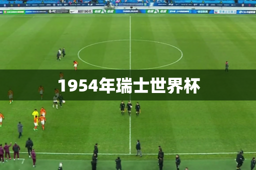 1954年瑞士世界杯
