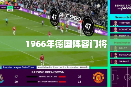 1966年德国阵容门将