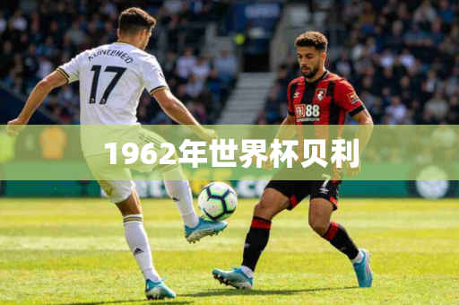 1962年世界杯贝利