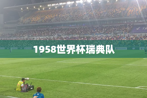 1958世界杯瑞典队