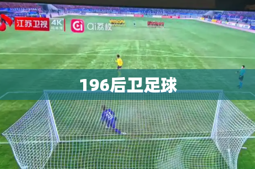 196后卫足球 196后卫足球