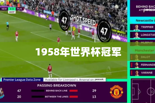 1958年世界杯冠军 1958年世界杯冠军