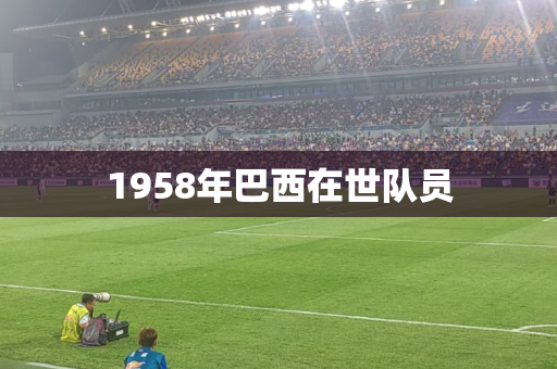 1958年巴西在世队员 1958年巴西在世队员