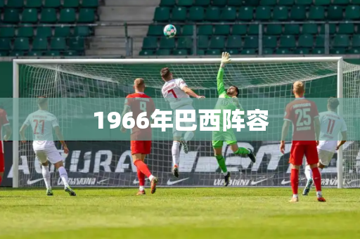 1966年巴西阵容