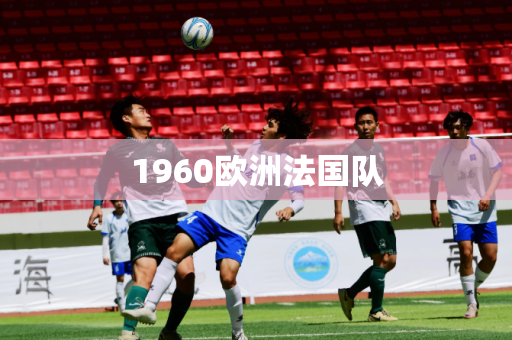 1960欧洲法国队 1960欧洲法国队