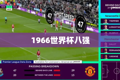 1966世界杯八强 1966世界杯八强