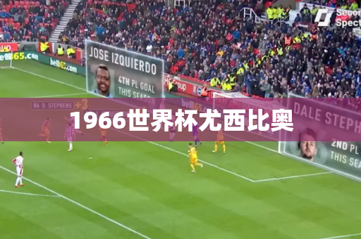 1966世界杯尤西比奥 1966世界杯尤西比奥