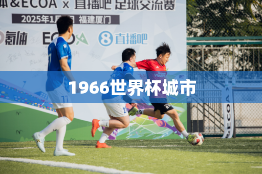 1966世界杯城市