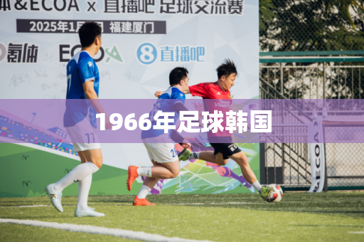 1966年足球韩国 1966年足球韩国