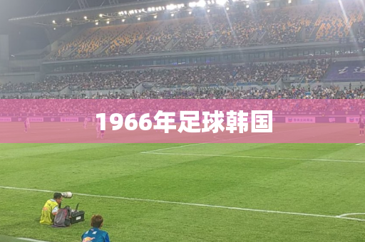 1966年足球韩国