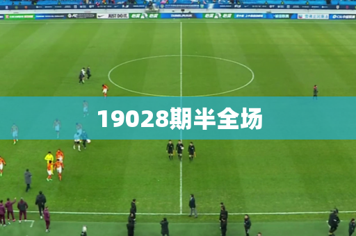 19028期半全场