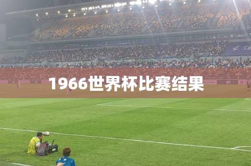 1966世界杯比赛结果