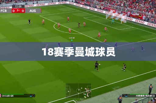 18赛季曼城球员 18赛季曼城球员
