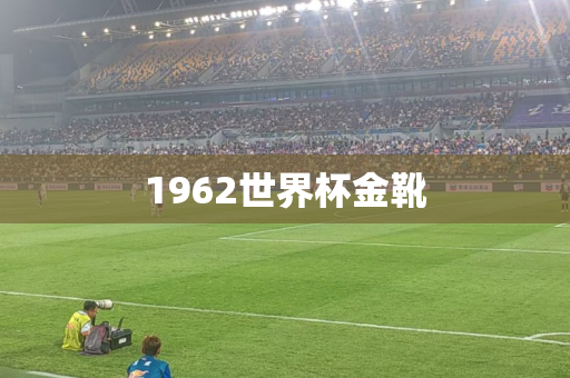1962世界杯金靴