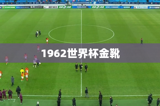 1962世界杯金靴
