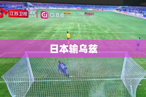 日本输乌兹