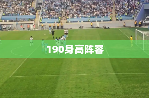 190身高阵容 190身高阵容