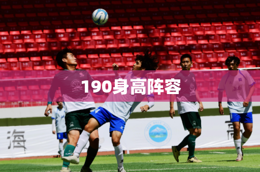190身高阵容