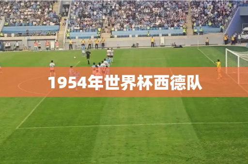 1954年世界杯西德队