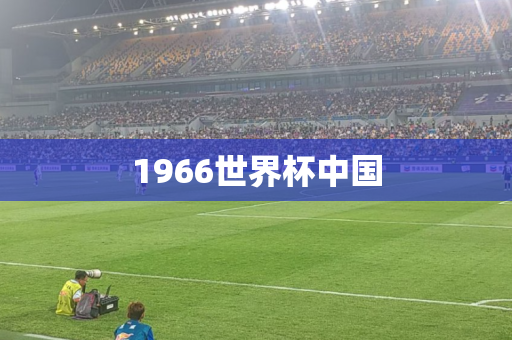 1966世界杯中国 1966世界杯中国