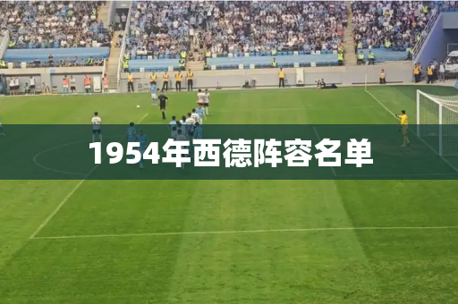 1954年西德阵容名单 1954年西德阵容名单