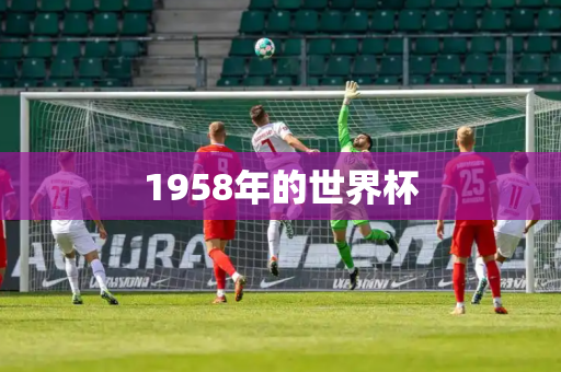 1958年的世界杯 1958年的世界杯