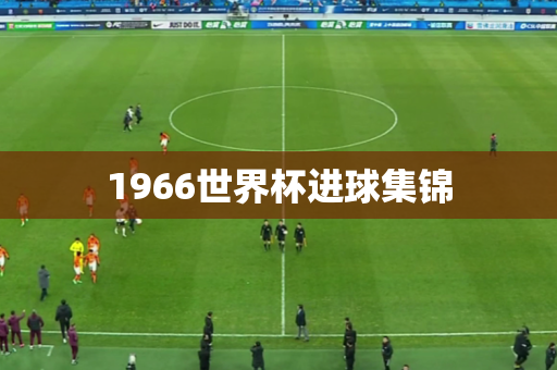 1966世界杯进球集锦