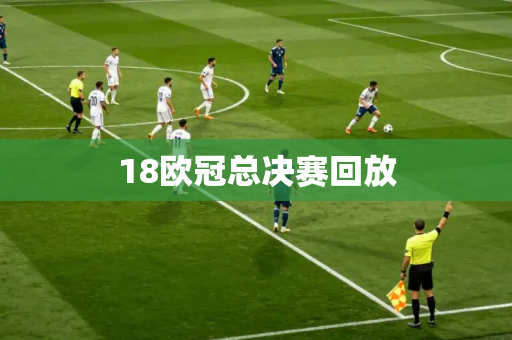 18欧冠总决赛回放