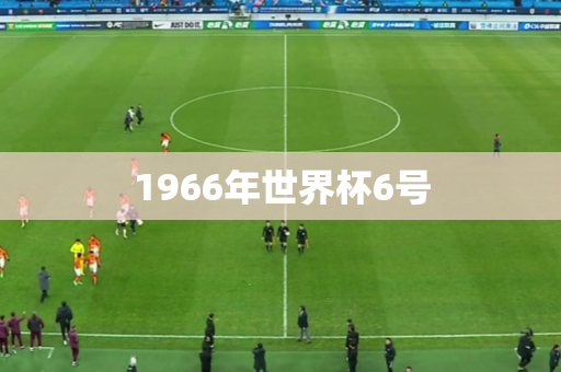 1966年世界杯6号 1966年世界杯6号