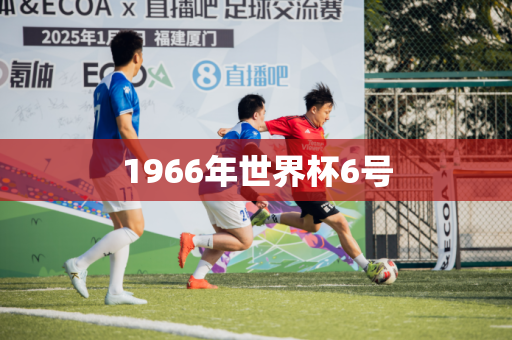 1966年世界杯6号