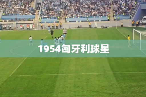 1954匈牙利球星 1954匈牙利球星