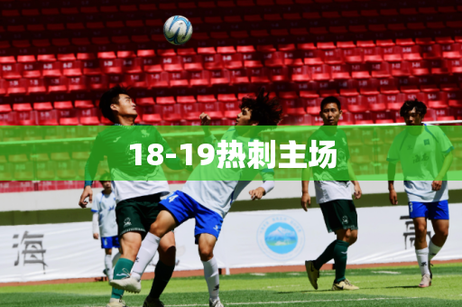 18-19热刺主场 18-19热刺主场
