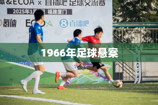 1966年足球悬案 1966年足球悬案