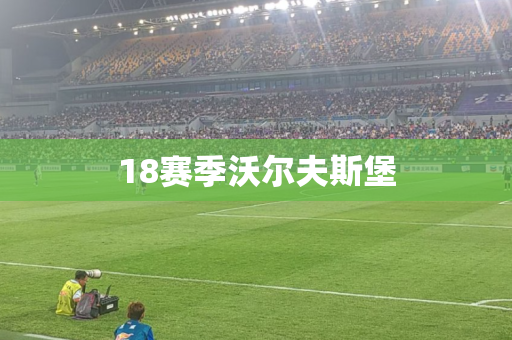 18赛季沃尔夫斯堡 18赛季沃尔夫斯堡