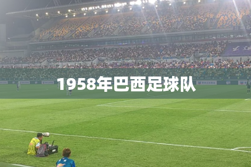 1958年巴西足球队