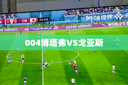 004博塔弗VS戈亚斯 004博塔弗VS戈亚斯