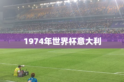 1974年世界杯意大利 1974年世界杯意大利