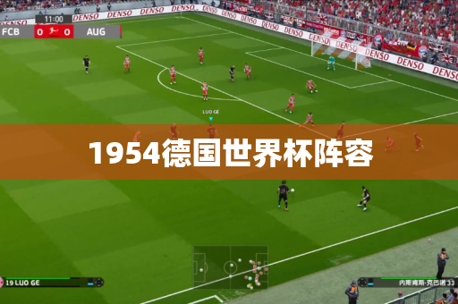 1954德国世界杯阵容 1954德国世界杯阵容
