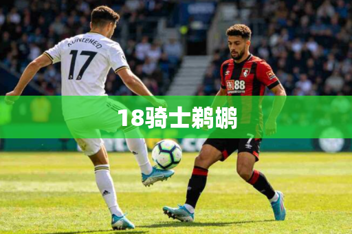 18骑士鹈鹕 18骑士鹈鹕