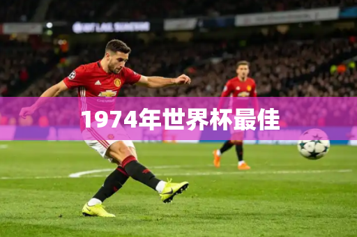 1974年世界杯最佳