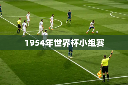 1954年世界杯小组赛 1954年世界杯小组赛
