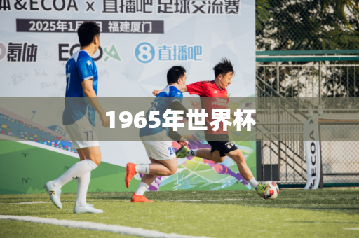1965年世界杯 1965年世界杯