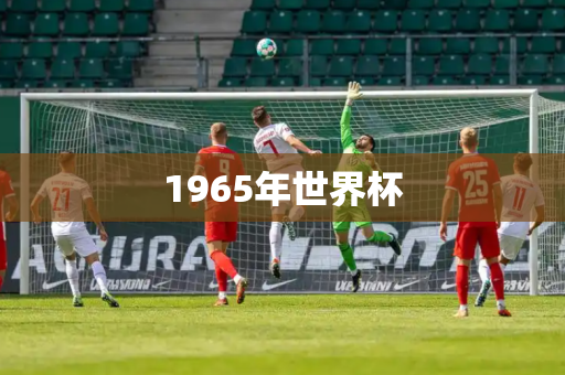 1965年世界杯 1965年世界杯