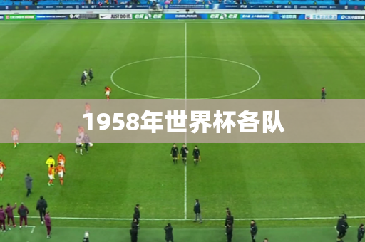 1958年世界杯各队 1958年世界杯各队