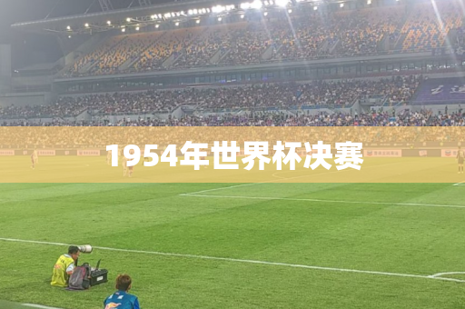 1954年世界杯决赛 1954年世界杯决赛